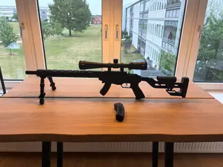 Ruger rimfire precision 22 lr