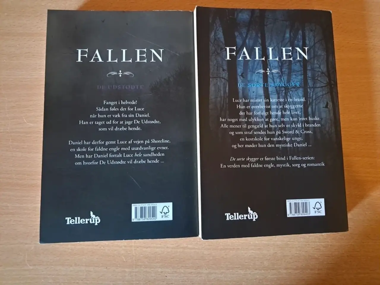 Billede 2 - Fallen 1+2