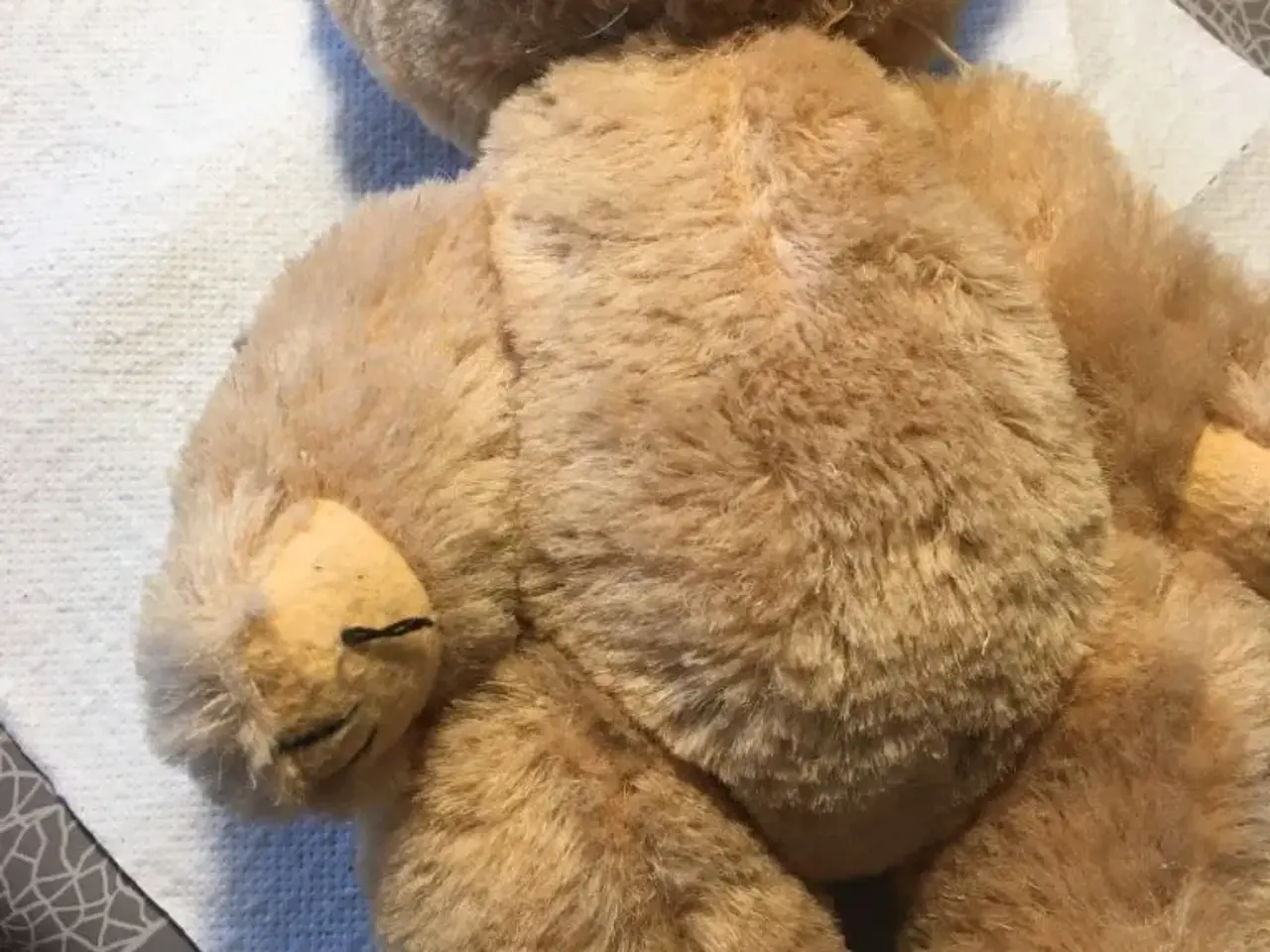 Billede 2 - Ældre bamse