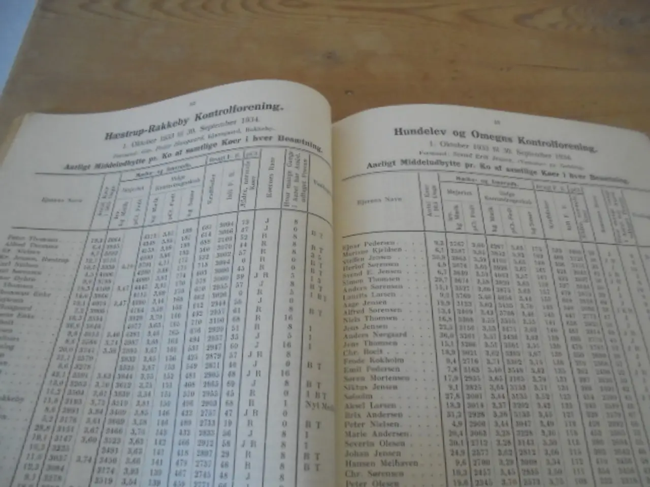 Billede 2 - Kvægavlen i Hjørring amt 1933-34