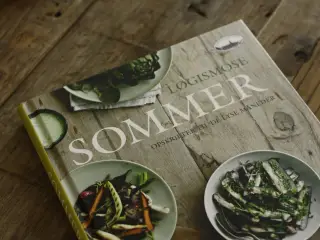 Løgismose - Sommer og Vinter