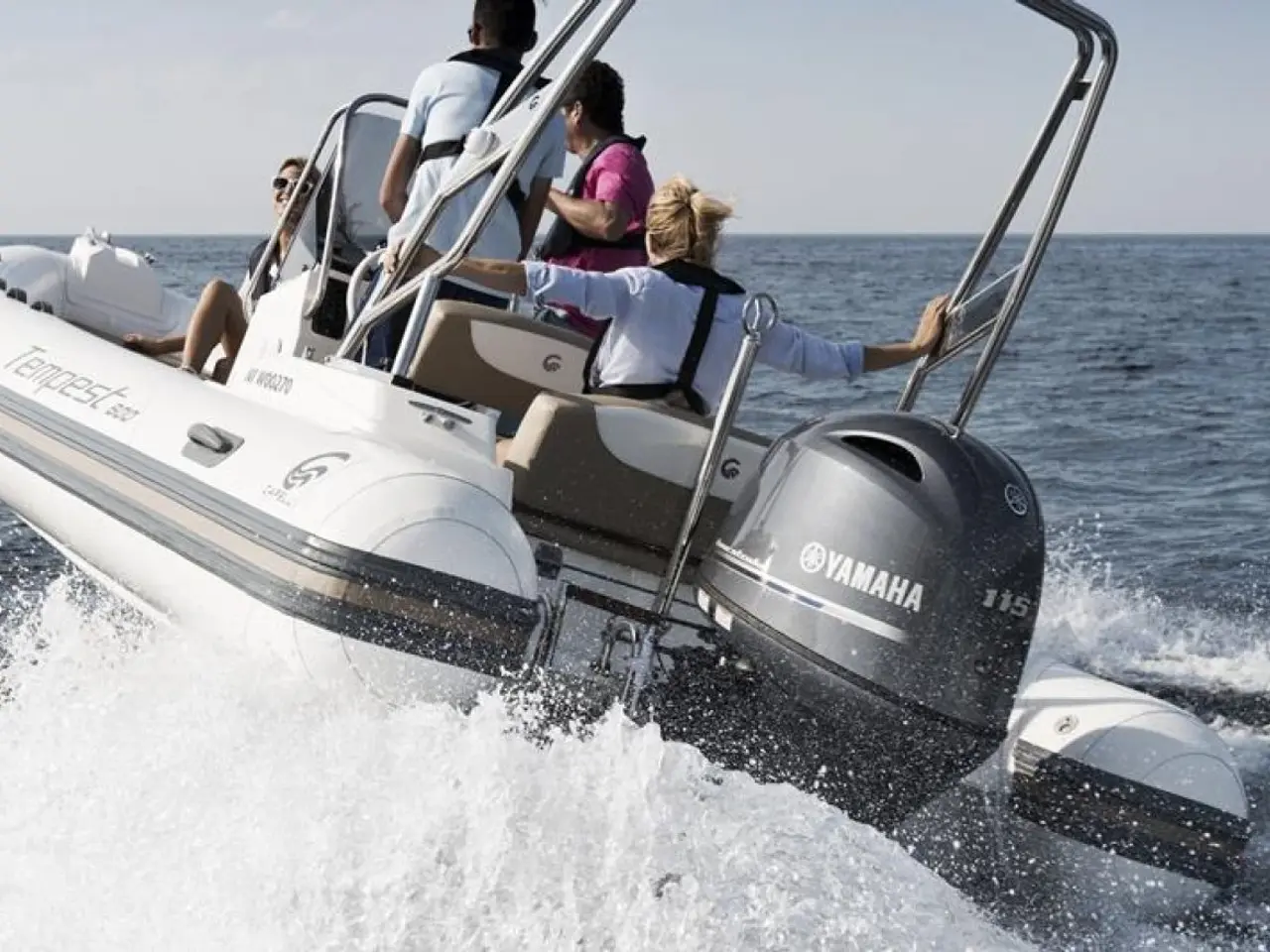 Billede 3 - Yamaha F115LB
