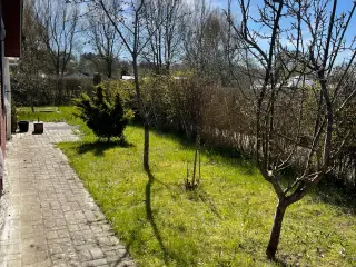 Have til salg i Aalborg øst