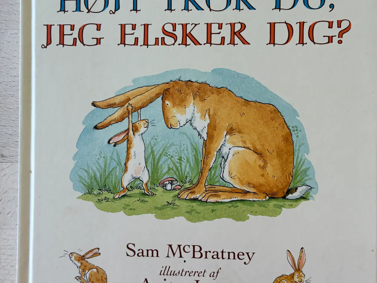 Billede 1 - Hvor højt tror du, jeg elsker dig? Sam McBartney