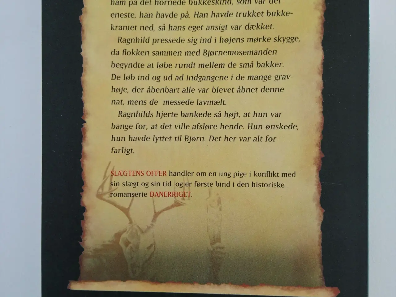 Billede 2 - Slægtens offer - Danerriget 1094-95.