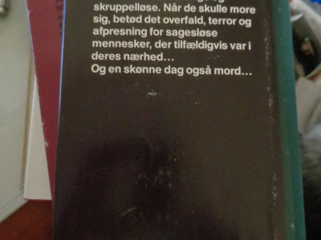 Billede 2 - Terror
