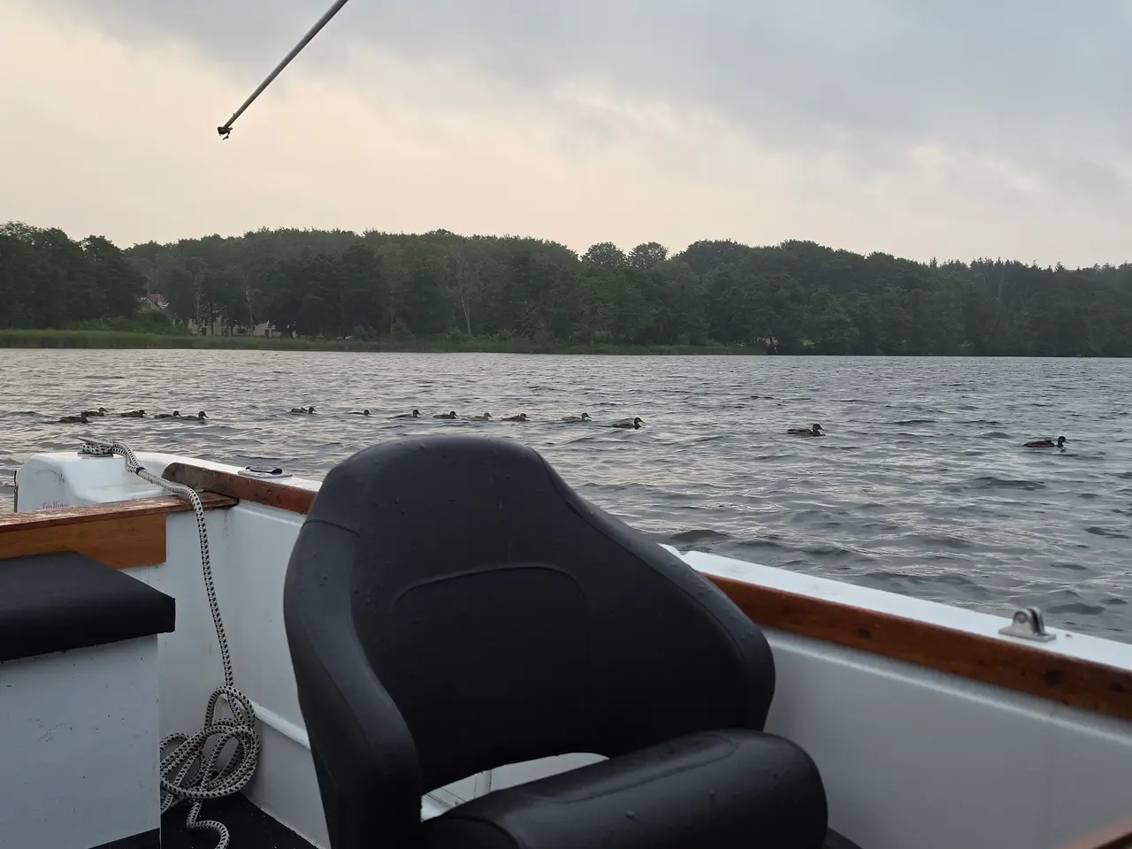 Billede 4 - Shetland 536 fishman