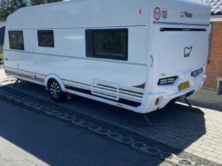 POLAR CUSTOMIZED 560 ren luksus
