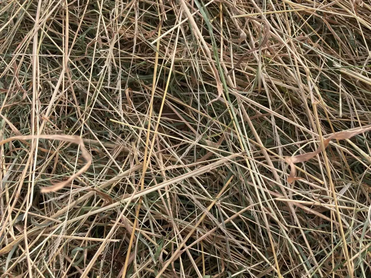 Billede 6 - Øko wraphø i lange Minibig (160 cm)