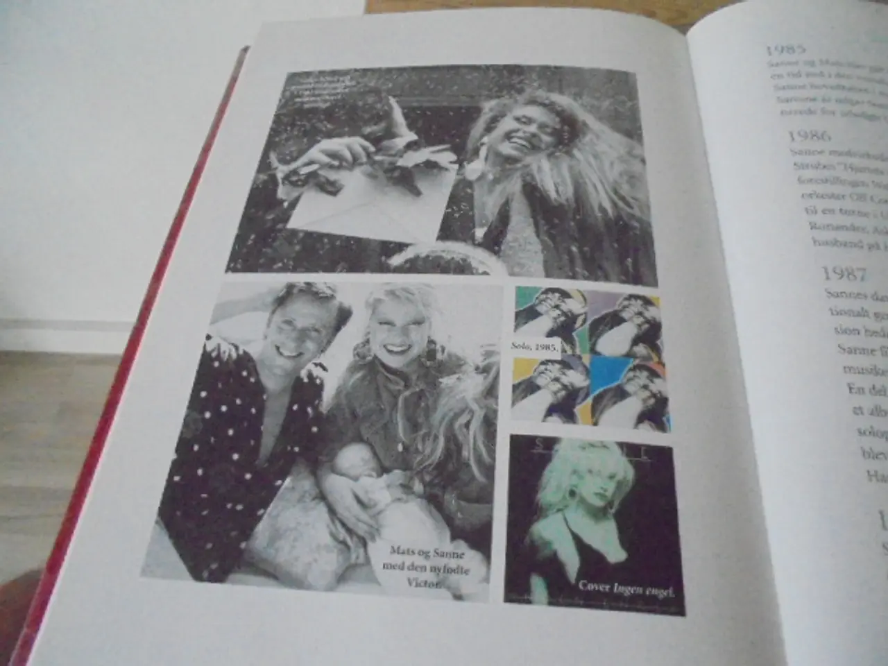 Billede 10 - Sanne Salomonsen – The Book. Lidt til og meget mer