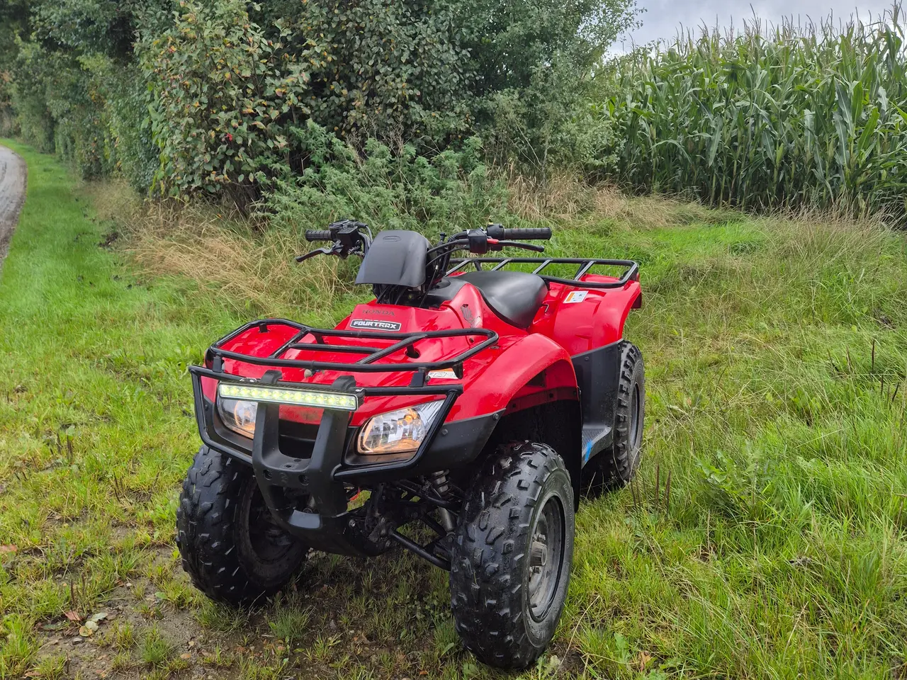 Billede 1 - Honda TRX250 2019