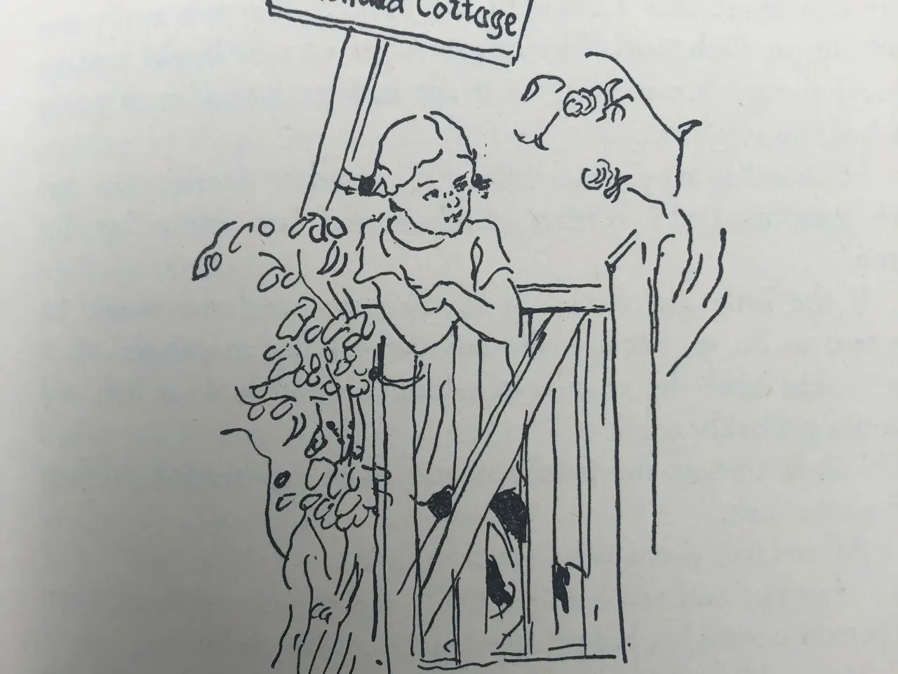 Billede 4 - Pippi