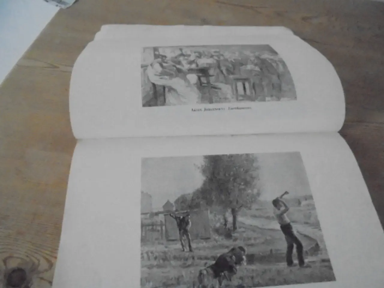 Billede 2 - Rundskue over 5 gange 5 aars moderne malerkunst 19