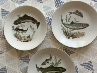 3 sildetallekner