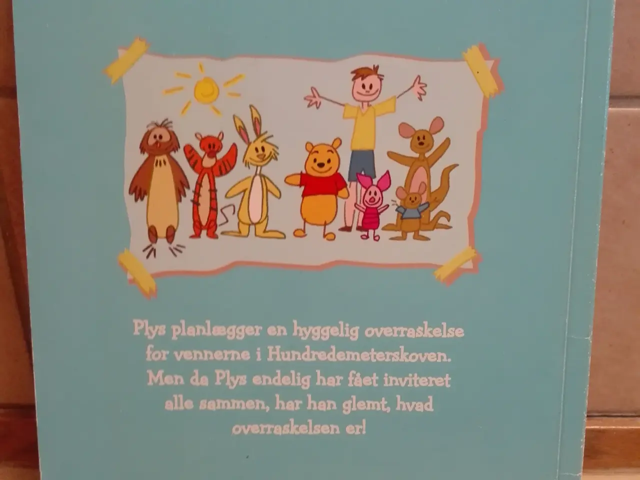 Billede 2 - Plys overrasker sine venner