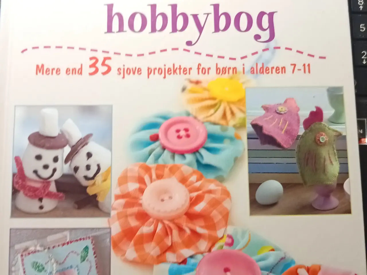 Billede 1 - MIN FØRSTE HOBBYBOG - MERE END 35 PROJEKTER FOR BØ