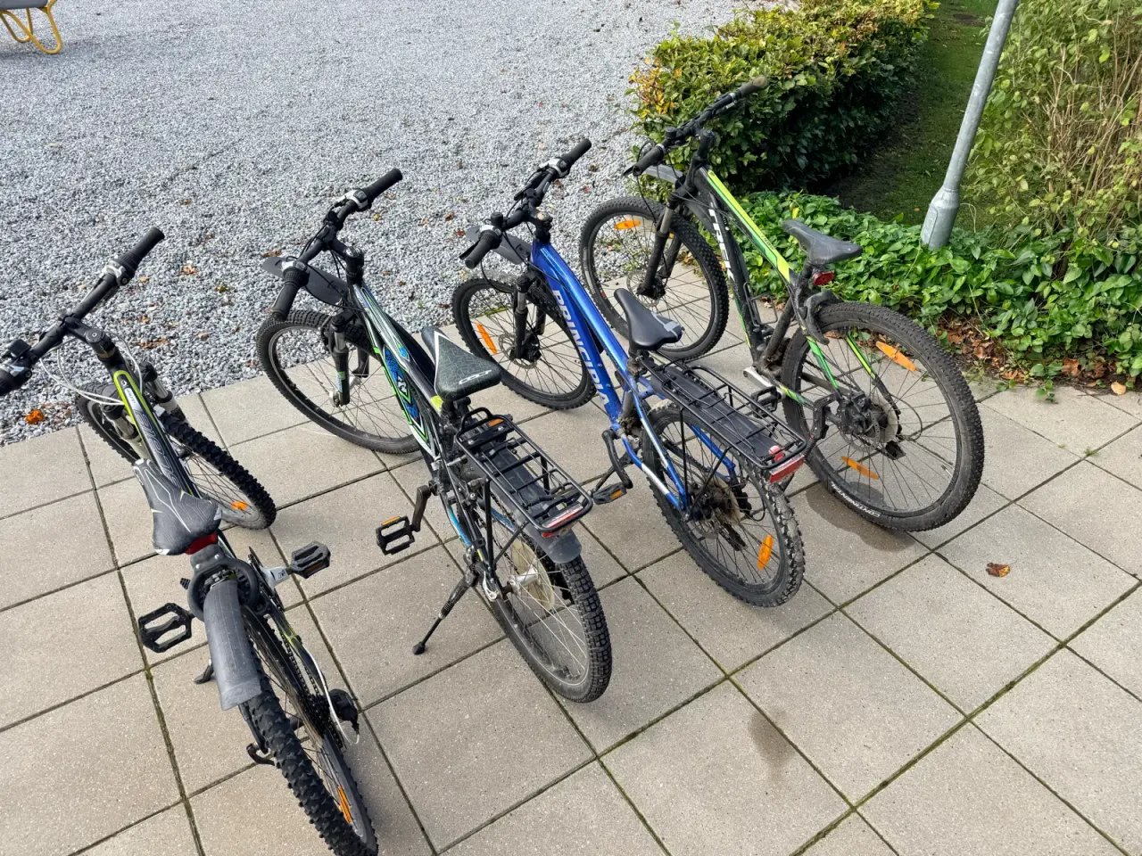 Billede 3 - 3 drengecykler mountainbikes