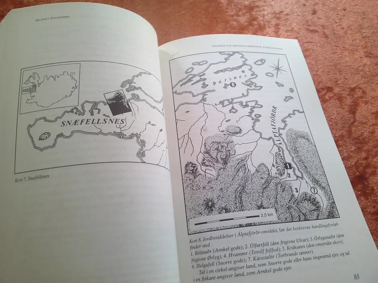 Billede 2 - Island i sagatiden, Jesse L. Byock