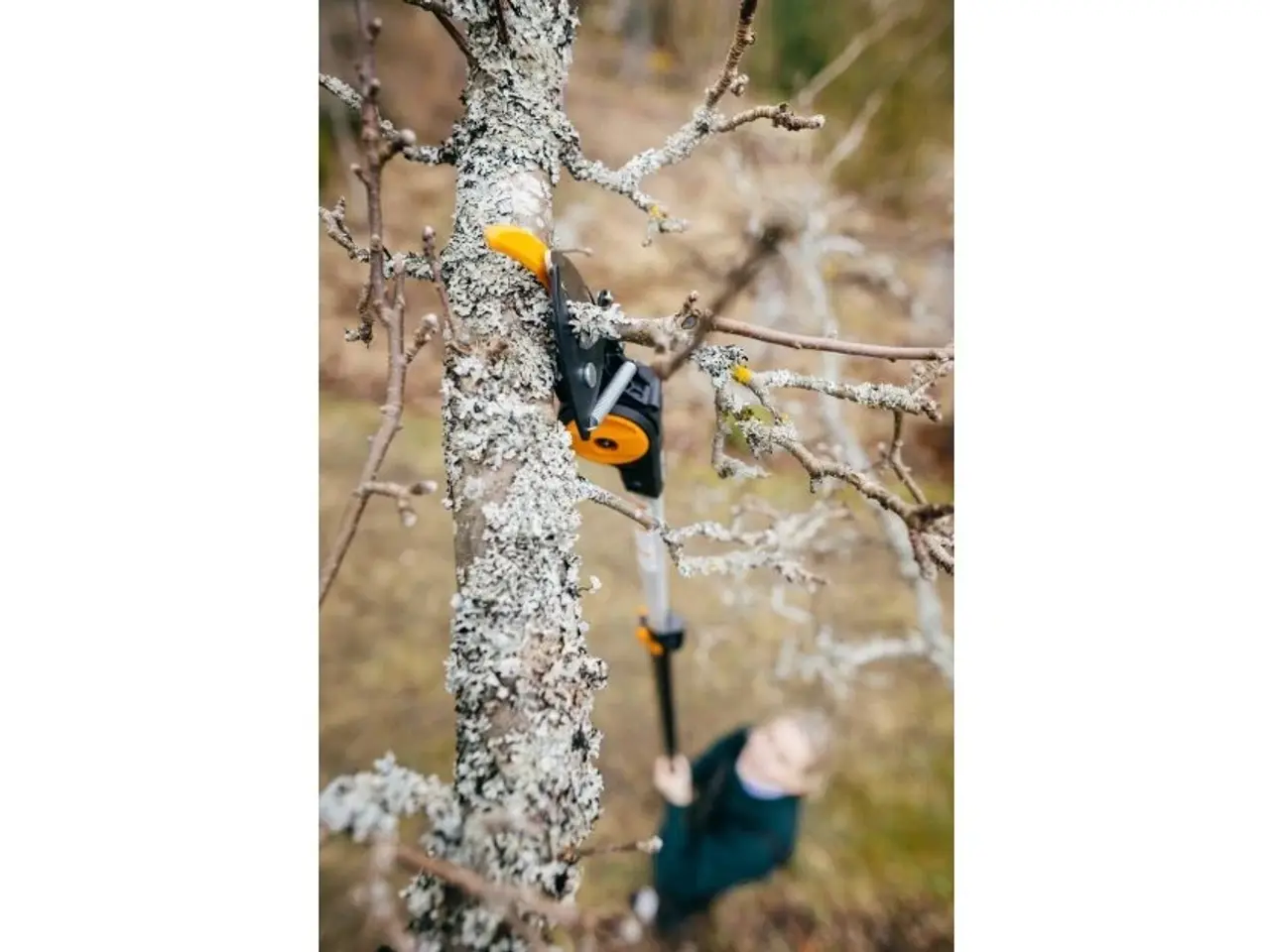 Billede 2 - Fiskars universalsaks med teleskopskaft