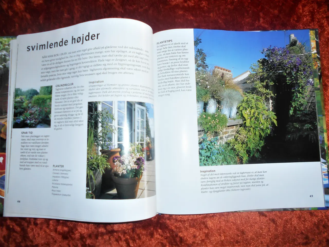 Billede 2 - Nye ideer til haven, Elizabeth Keevill