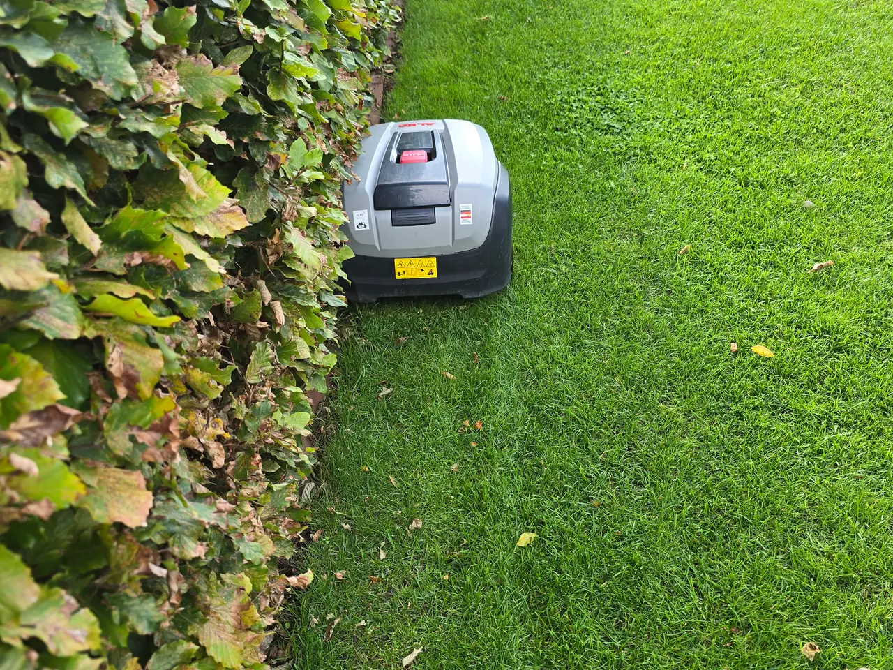 Billede 8 - AL-KO Robolinho 1150w robotplæneklipper