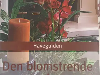 Haveguiden - Den blomstrende stuehave