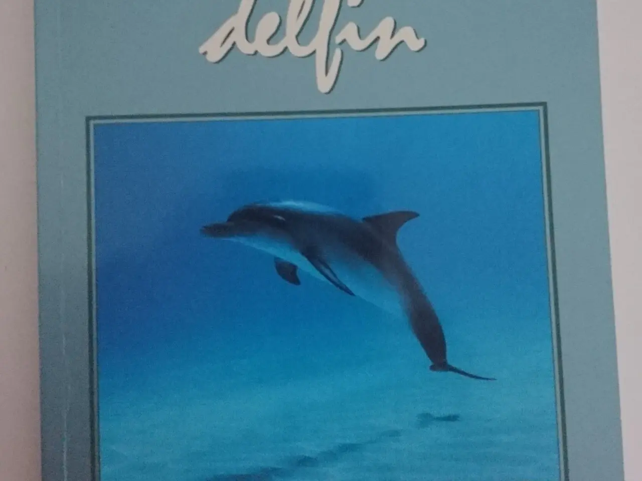 Billede 1 - Den blå delfin. Af Robert Barnes