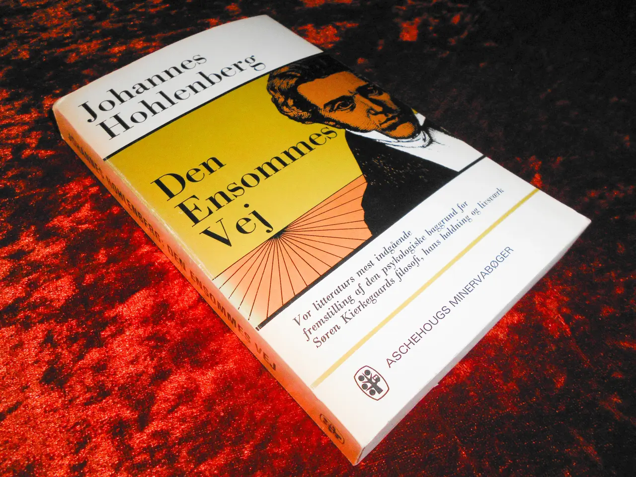 Billede 1 - Den ensommes vej, Johannes Hohlenberg