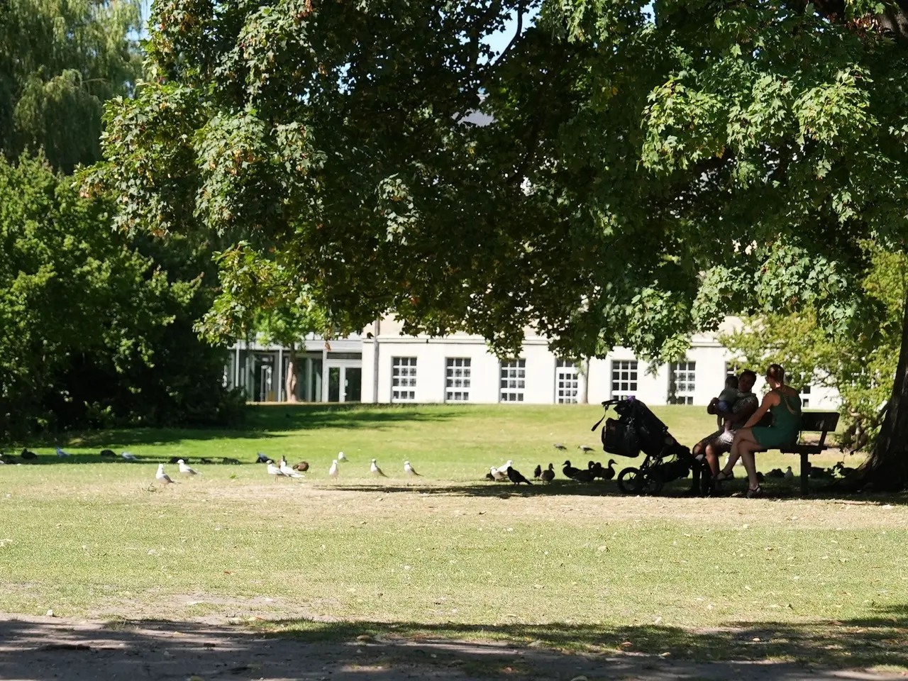 Billede 13 - Charmerende kontorlejemål på 431 m²
