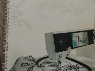 Bernina 830 Sy og Broderimaskine