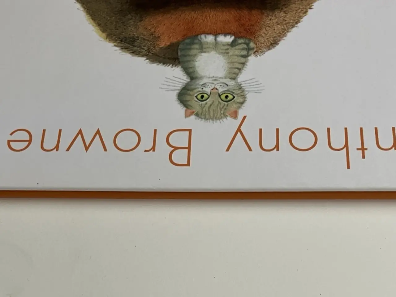 Billede 6 - Venskab. Af Anthony Browne