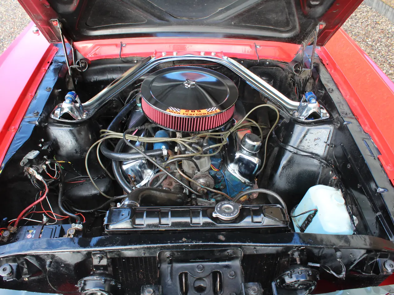 Billede 20 - Ford Mustang Cab 1965