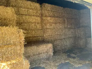 Hvede halm