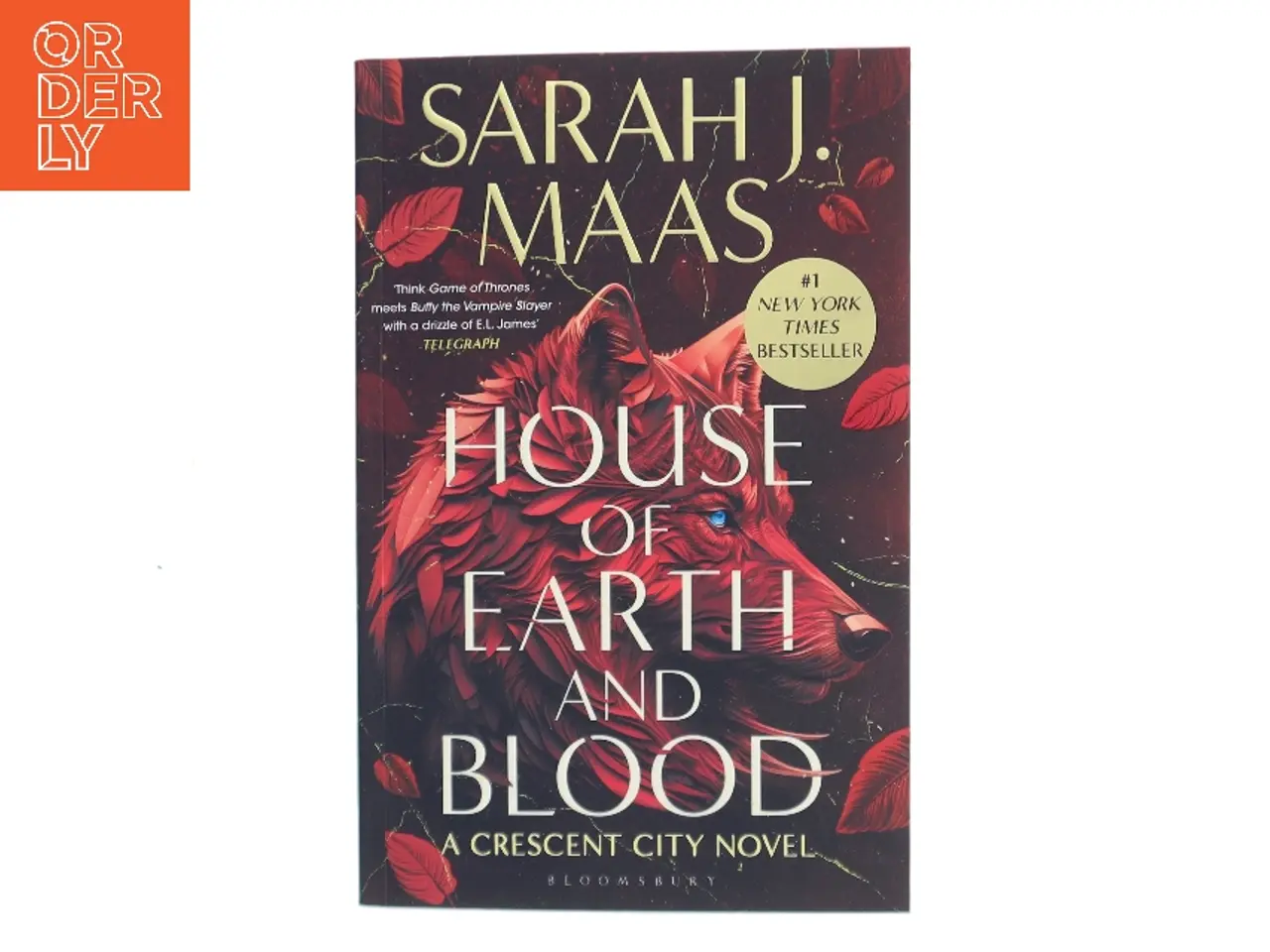 Billede 1 - House of earth and blood af Sarah J. Maas (Bog)