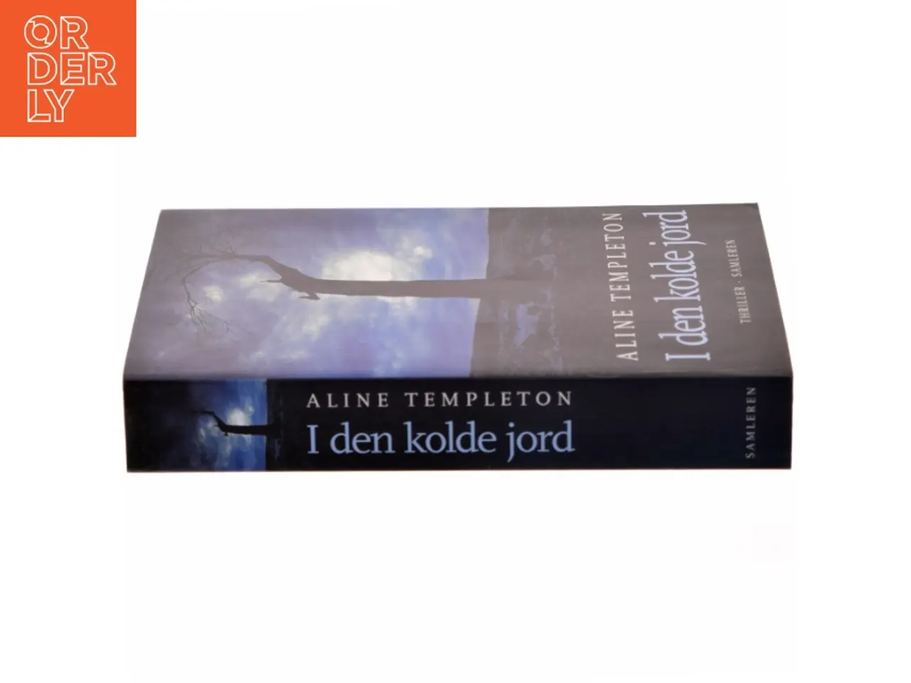 Billede 2 - I den kolde jord : thriller af Aline Templeton (Bog)