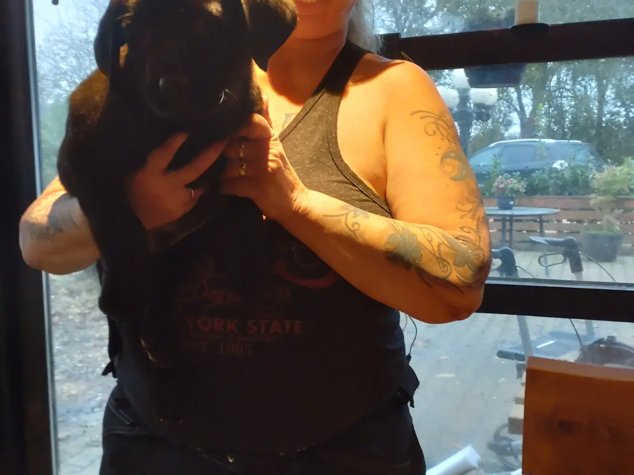 Billede 1 - Rottweiler/labrador hvalpe