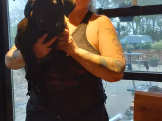 Rottweiler/labrador hvalpe 