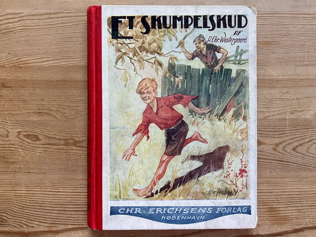 Billede 6 - 19 gamle, super flotte ungdomsbøger