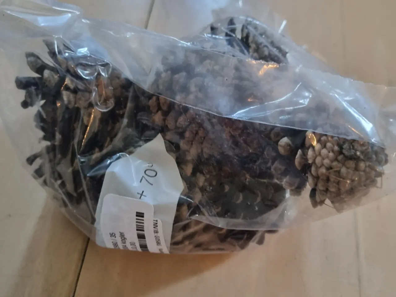 Billede 1 - Annonce 339 - Hobby