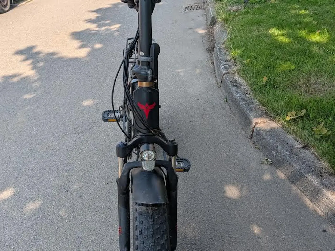 Billede 1 - speed pedelec