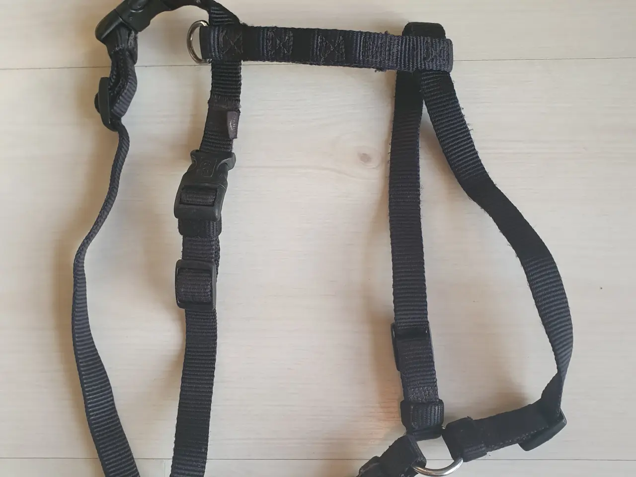 Billede 1 - Hundesele