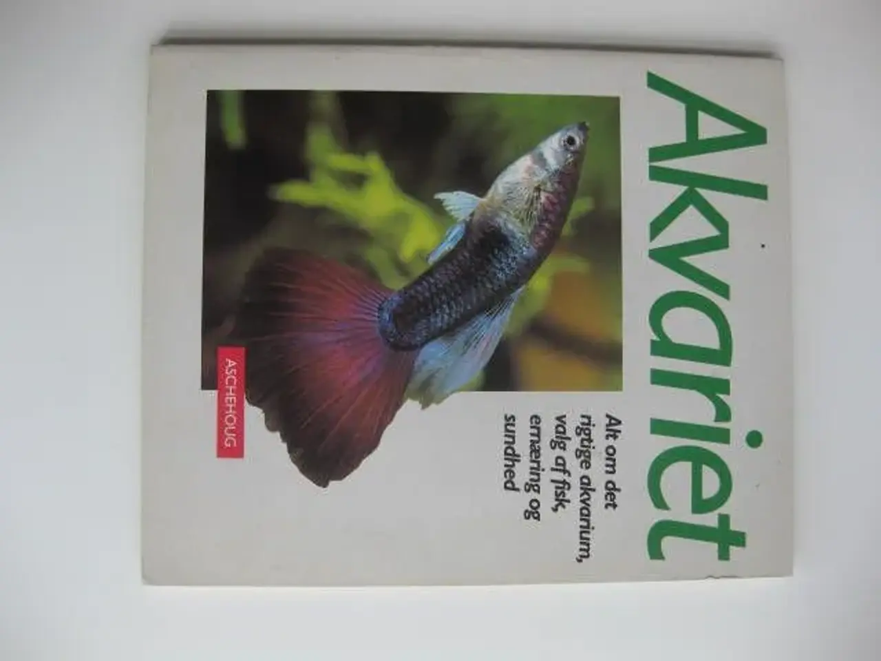 Billede 1 - Akvariet