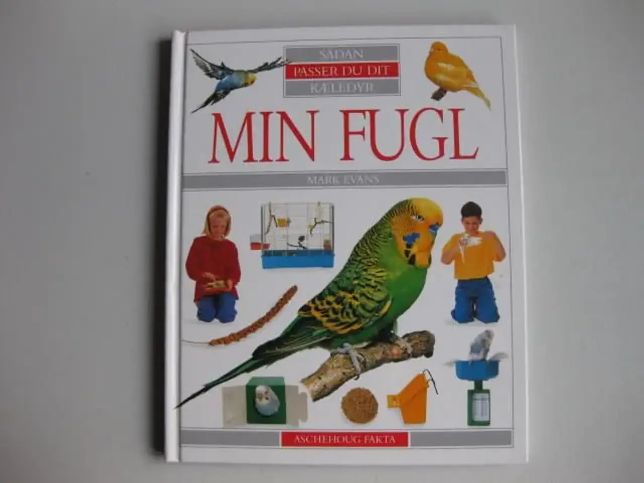 Billede 1 - Min Fugl