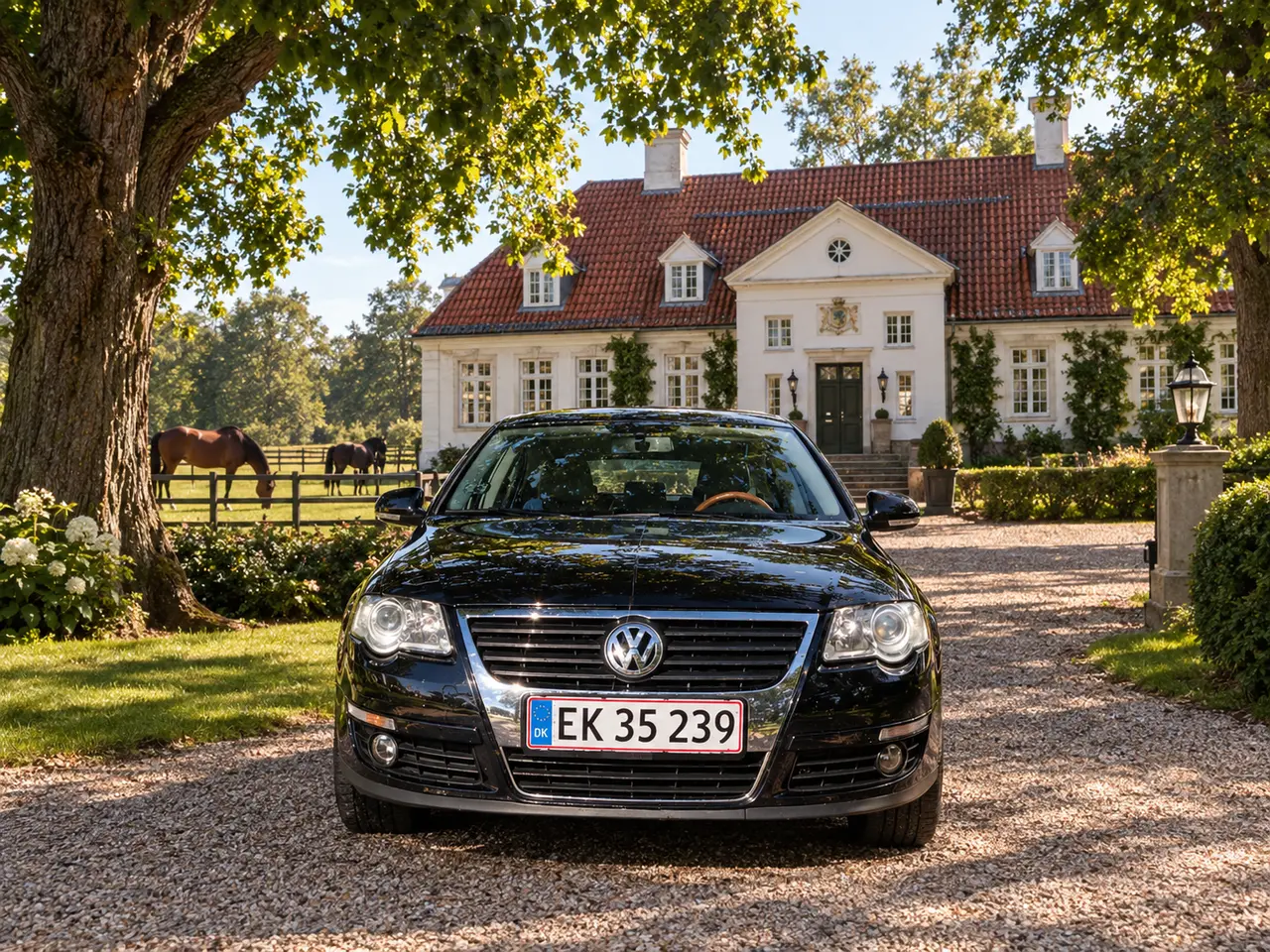 Billede 1 - Danmarks pæneste VW Passat