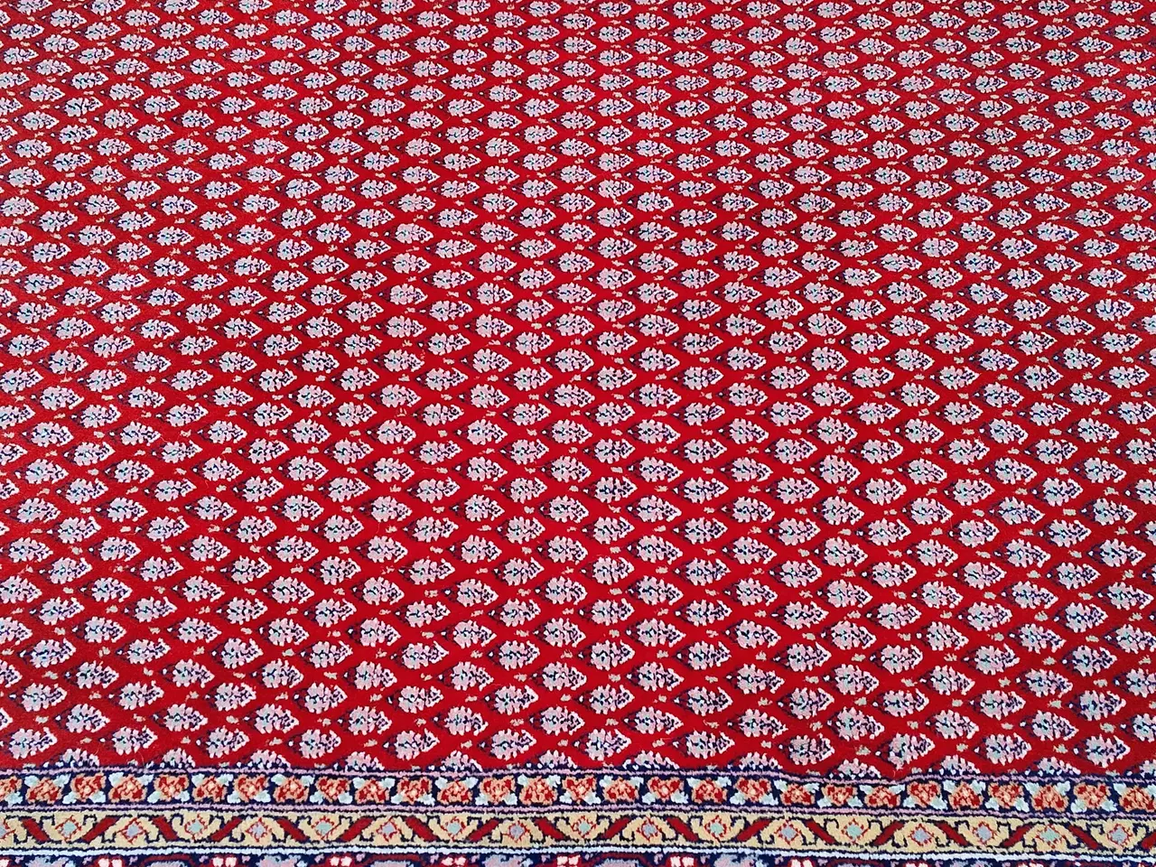 Billede 1 - Indo Sarough Mir håndknyttet i uld 165 x 260 cm 1