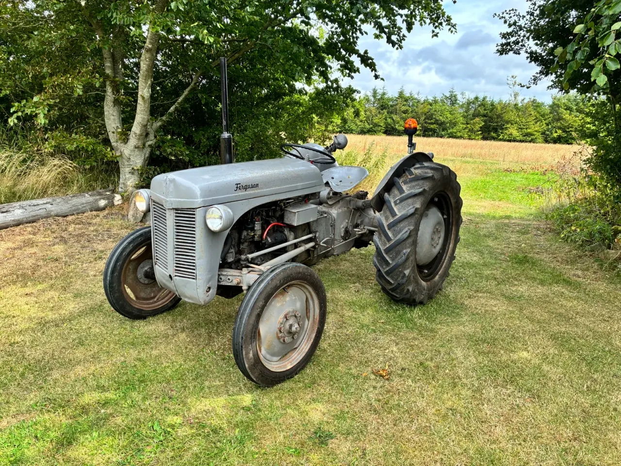 Billede 2 - Ferguson 26
