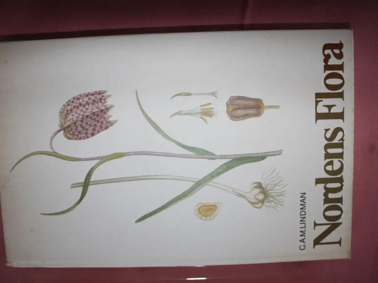 Billede 3 - Nordens flora bind 1 - 10