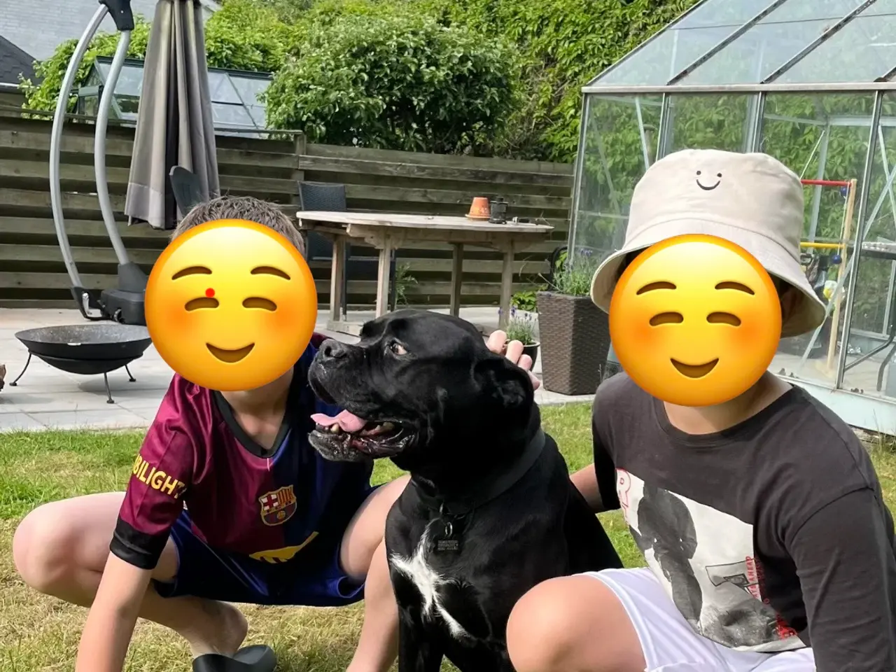 Billede 4 - Daisy søger nyt hjem
