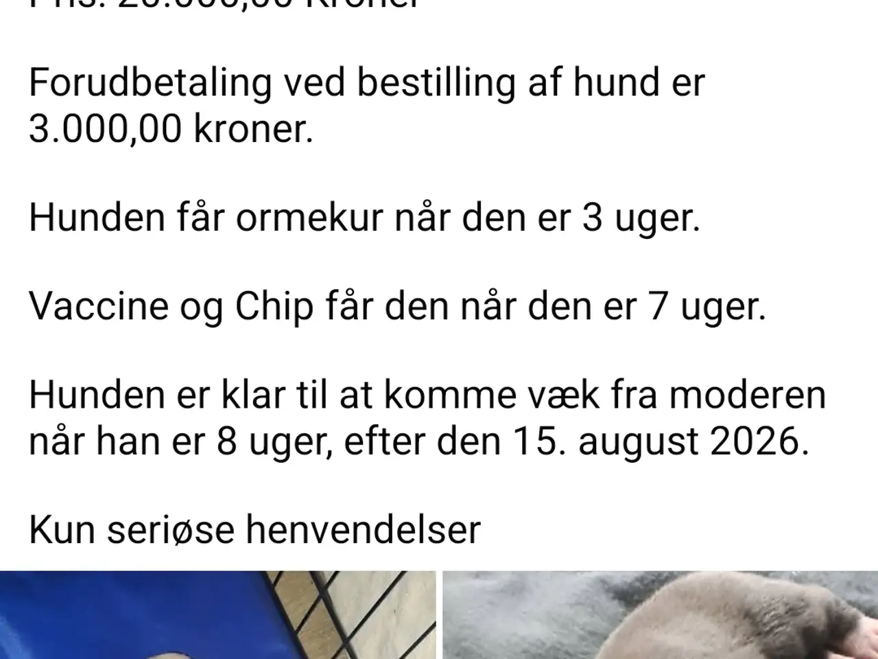 Billede 1 - Kun seriøse henvendelser tak.