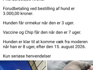Kun seriøse henvendelser tak.